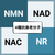 NMN、NAC、NR同NAD：抗衰老同健康界嘅新發現